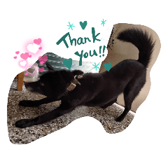 Hannah_20220514103833