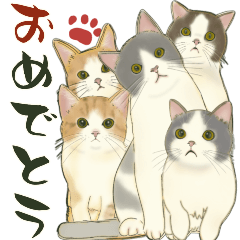 おめでとうの宝箱❤️モフ猫連合❤️BIG