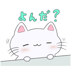 餅ねこ 色々
