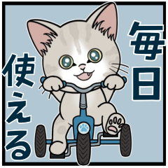 【毎日使ってみて】仔猫のぽんにゃん