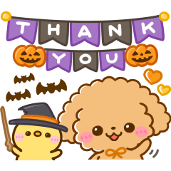 飛び出す♡トイプーの秋