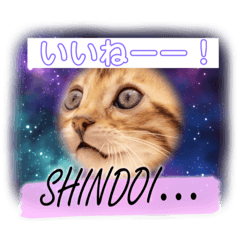 チャコ好きスタンプ可愛い