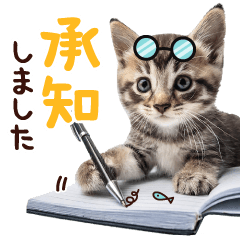 毎日使える♪リアルなにゃんこ