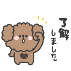 トイプードルさん◎敬語あいさつ #1