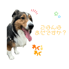 でかシェル　ノワくん