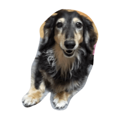 ボウズくんのスタンプ⭐️2