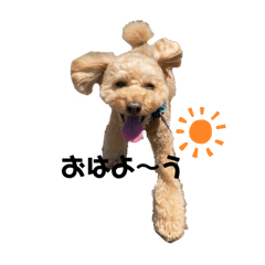 デカプーのモカくん