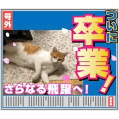 ちびすけプレミアムスタンプ