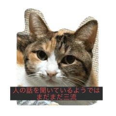 格言至言金言スタンプ