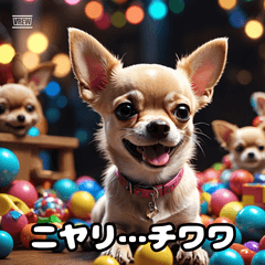 リアルチワワ、言いたい放題。