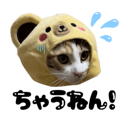 ぎんちゃんの関西弁