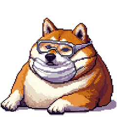 花粉症に苦しむ太っちょ柴犬