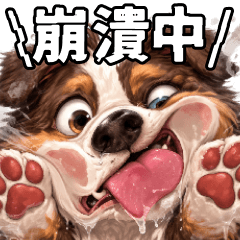 Excited Dog - Big Face Stickers
