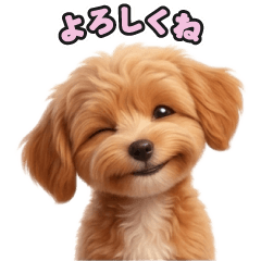 マルプーのLINEスタンプ177