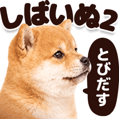 とびだす！しばいぬ2