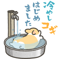 冷やしコギはじめました