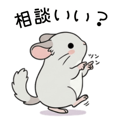 ゆるっとチンチラの相談スタンプ