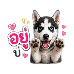 NATCHA_20260510202044
