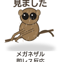 メガネザル即レス反応