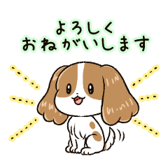 キャバリアのラブ【敬語編】（改）