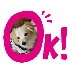 チワックスのサブロー‼️