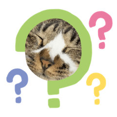 ユニークな猫・ララのスタンプ