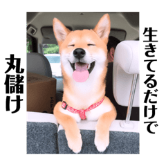 ほっぺちゃん 人生語りシリーズ