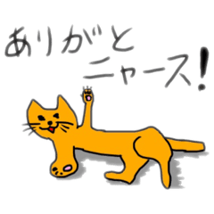 ニャースの生活