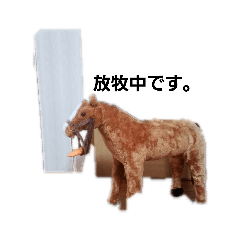 サラブレッドの日常