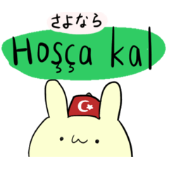 うさぎっちょーん！4