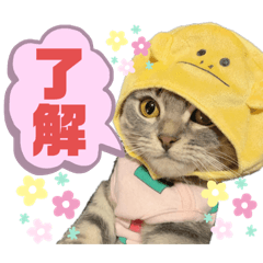 実写版えますたんぷ