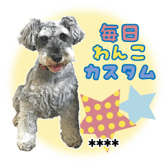 毎日わんこ☆ルイのよく使う日常カスタム