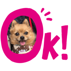 レオくん、ブーちゃん、ミルクちゃん