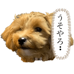 メルちん❤️part2