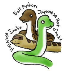 ボールパイソン、青大将、セイブシシバナ