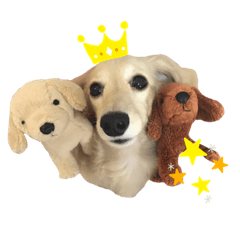 おとすたんぷ　2020