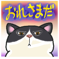 ねこざんまい２