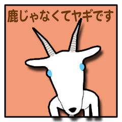 メールください!　鹿じゃなくてヤギです