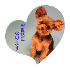 ヨーキーのつむぎスタンプ