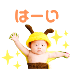 たいがどん☆