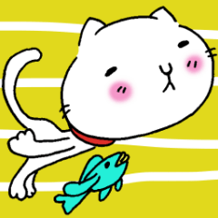 のんびり時々アクティビティな猫