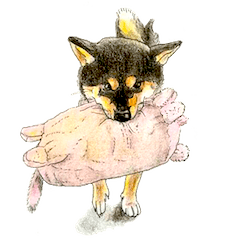 柴犬のここが好き９