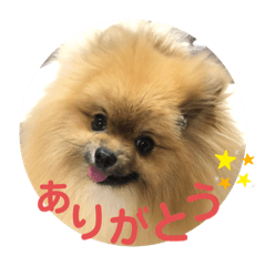 りくスタンプ２☆