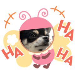 ハピハピスタンプ2