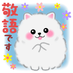 ポメラニアン ぽちゃん2 ☆ 敬語
