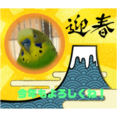 セキセイのスタンプ