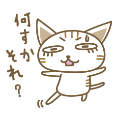 まつげネコ、先輩とおしゃべり