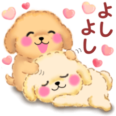 気持ちを伝える♥かわいいトイプードル