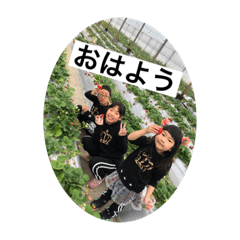 ゆずきらみうスタンプ