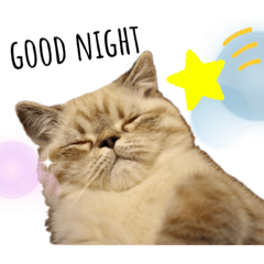 えるものスタンプ②